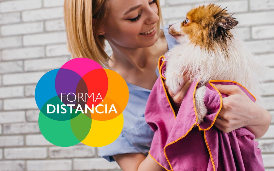 Fórmate en peluquería canina